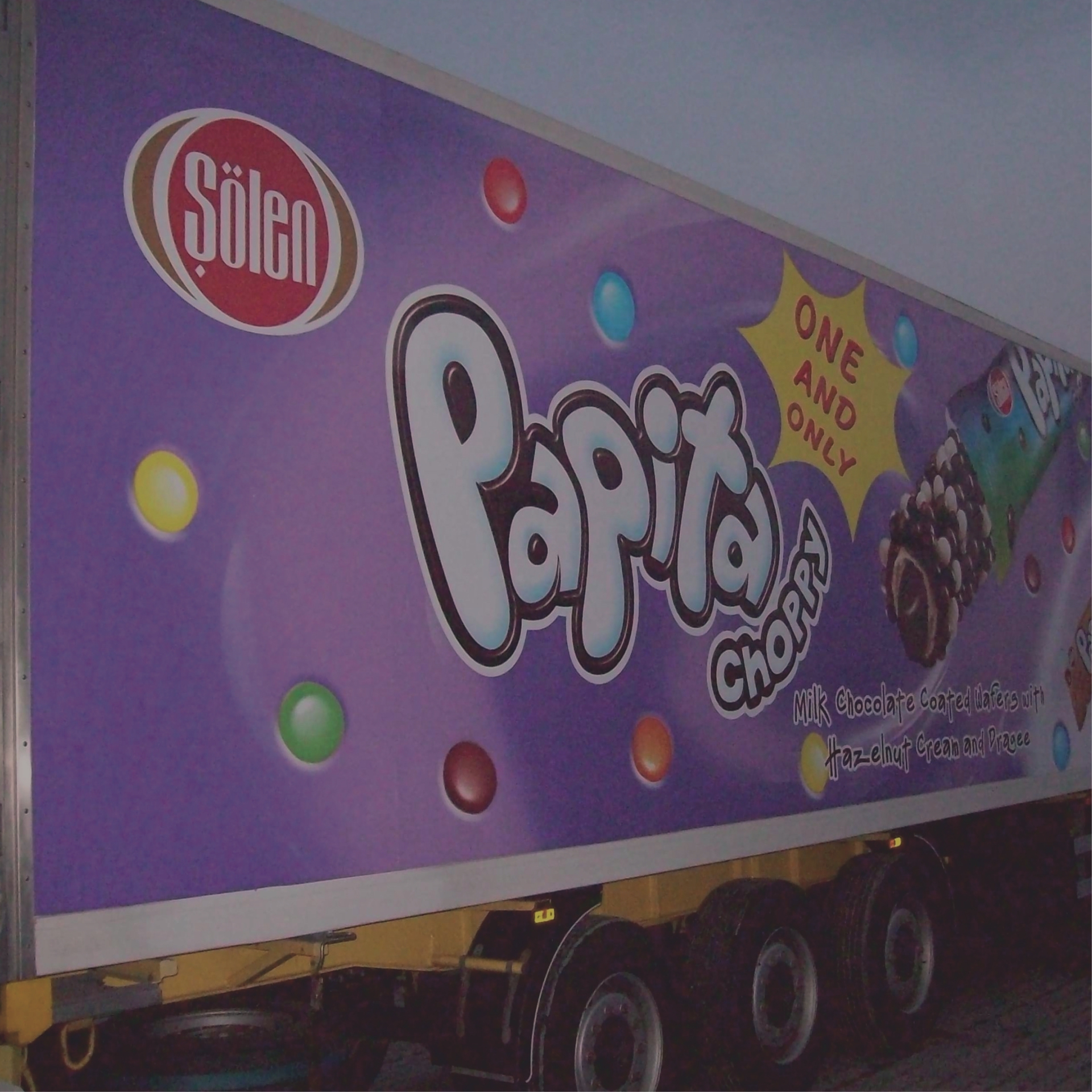 Tır - Kamyon - Kamyonet Giydirme